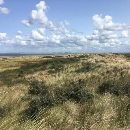 In Near North Sea *